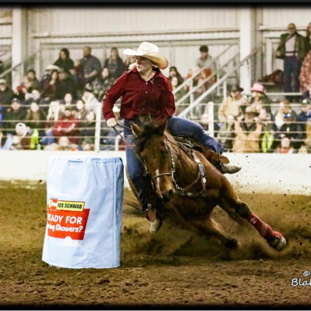 Meet your Posher, Bailey